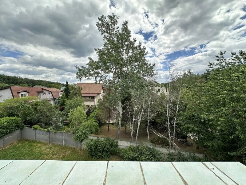 Mogosoaia Vila  la padure si DN.
